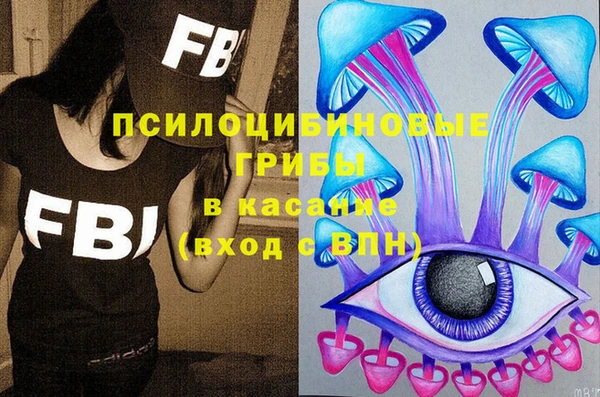 apvp Лиски