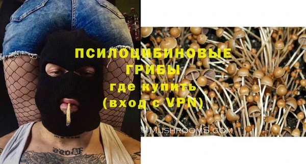 ГАЛЛЮЦИНОГЕННЫЕ ГРИБЫ Магас