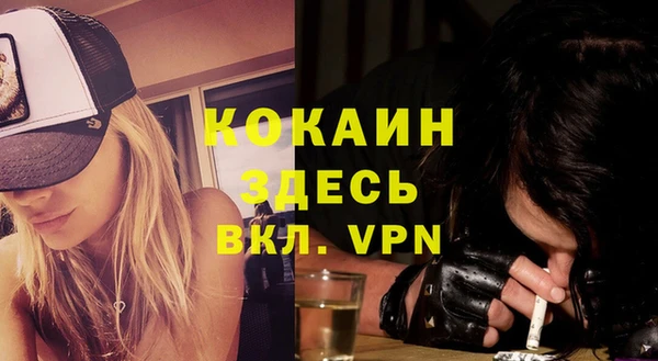 apvp Лиски